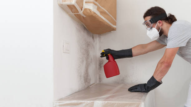 Professional Mold Remediation technician working in Kendall Park, NJ